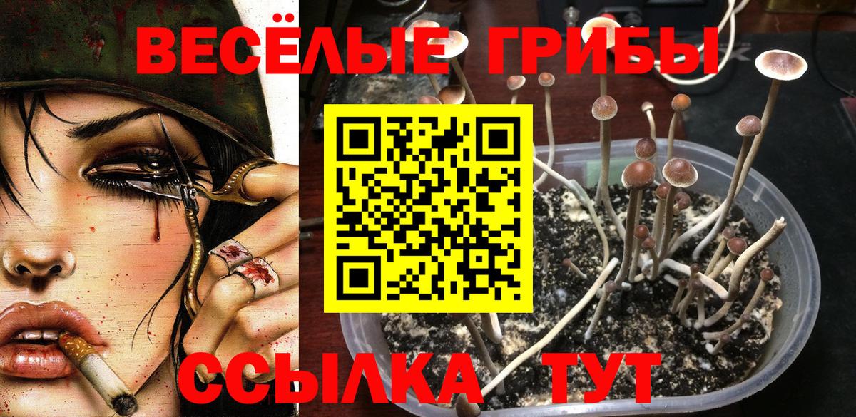 Галлюциногенные грибы GOLDEN TEACHER Белебей