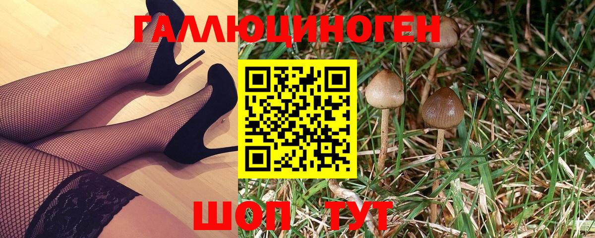 Белебей  Псилоцибиновые грибы Psilocybe  Вход с VPN 